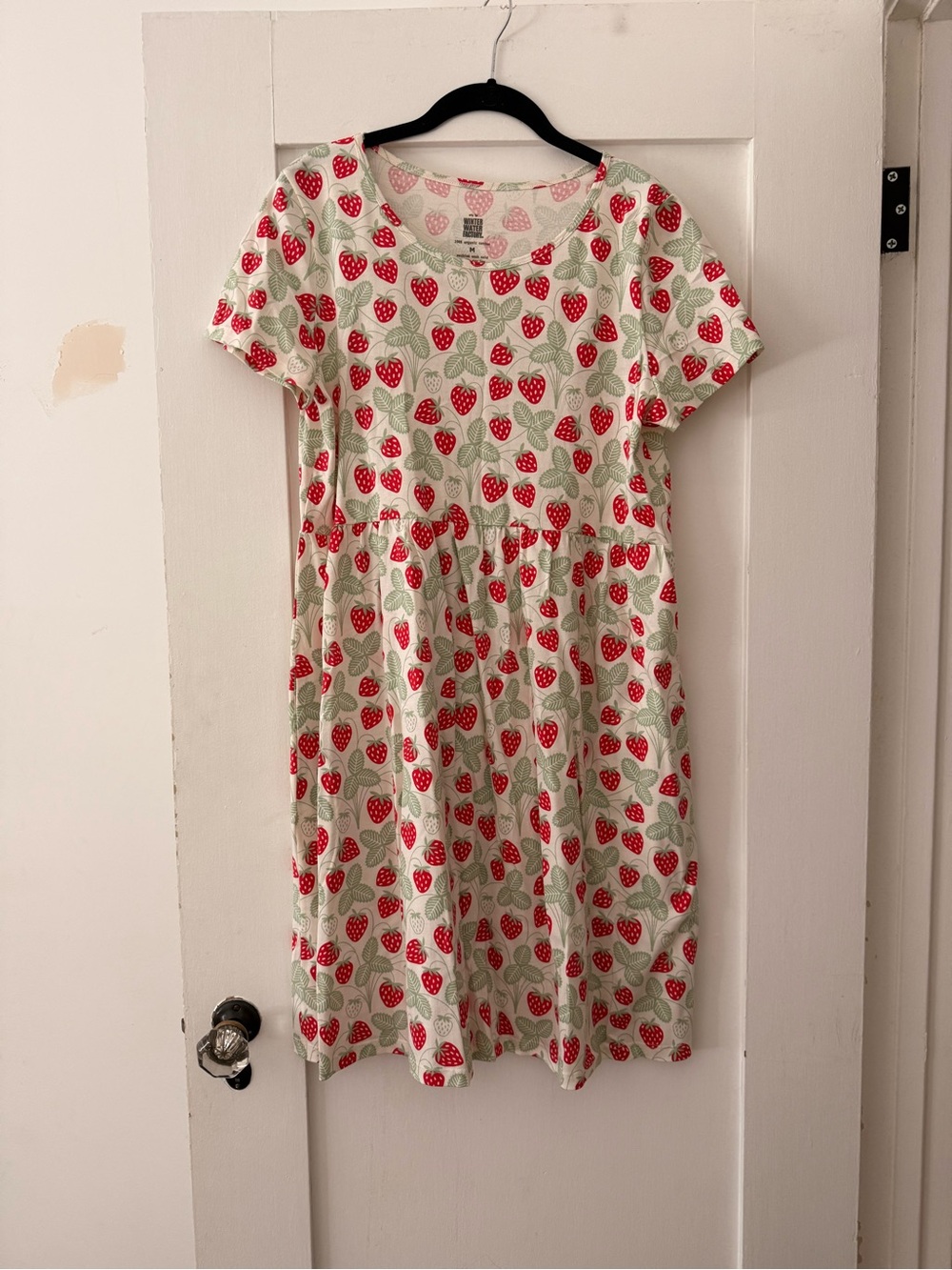Winter Water Factory: Helsinki Dress Strawberries Red and Green (M)